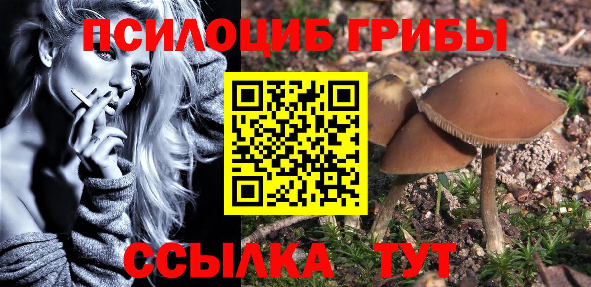 Тамбов  Псилоцибиновые грибы прущие грибы  купить наркоту  Вход с VPN 