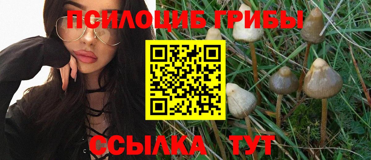 Галлюциногенные грибы Magic Shrooms Тамбов