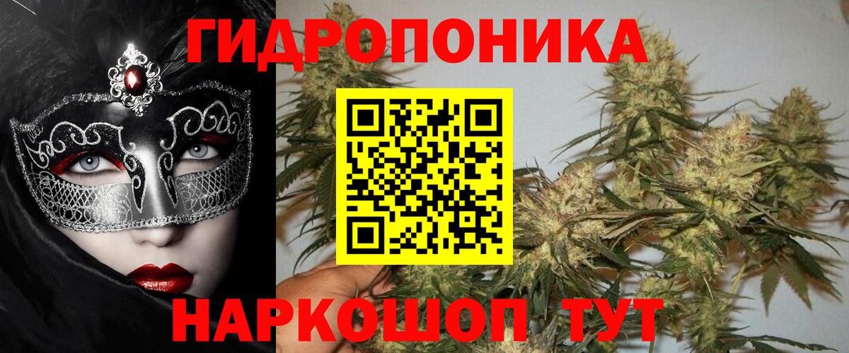 Конопля сатива Тамбов